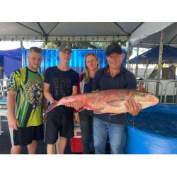 Feira do Peixe 2024 comercializa recorde de 3,5 toneladas de peixe vivo em Campo Largo